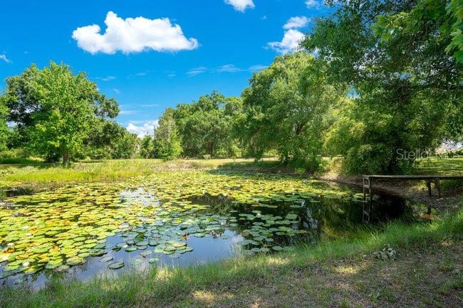 2026 N LAKEWOOD AVE, OCOEE, FL, 34761