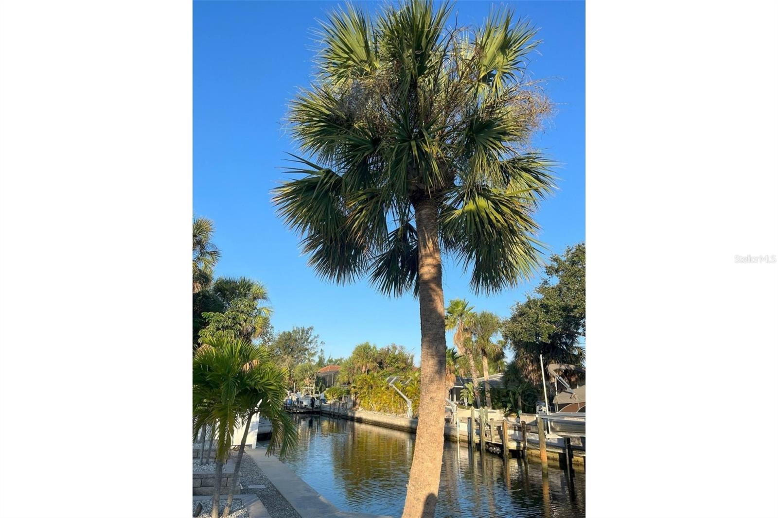 345 AVENIDA LEONA, SARASOTA, FL, 34242