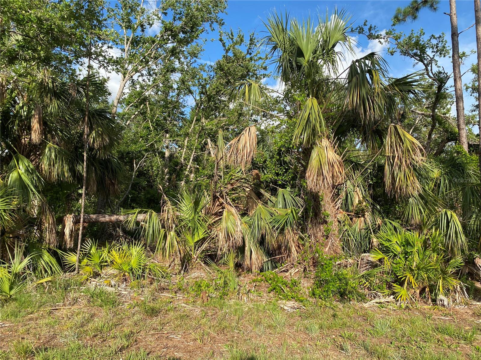 376 MUNOZ ST, PORT CHARLOTTE, FL, 33953