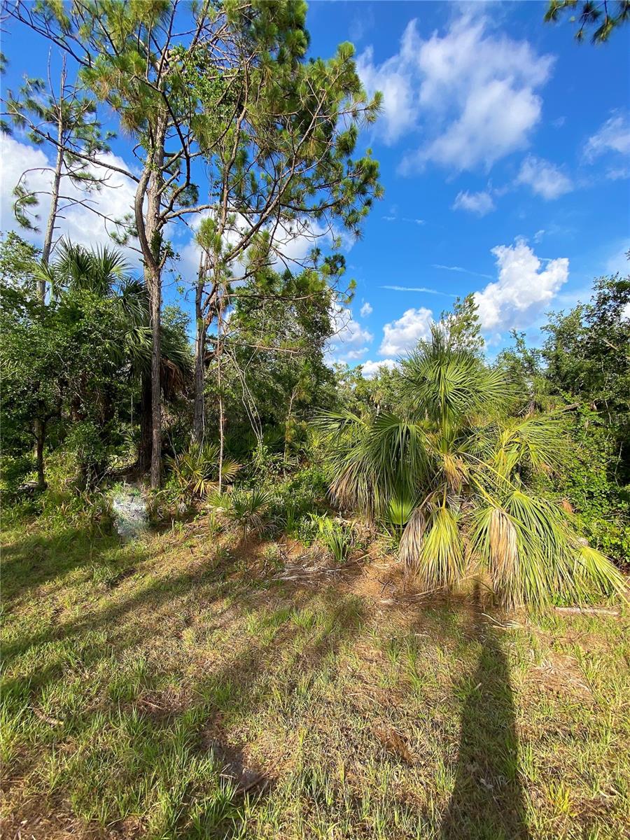 376 MUNOZ ST, PORT CHARLOTTE, FL, 33953