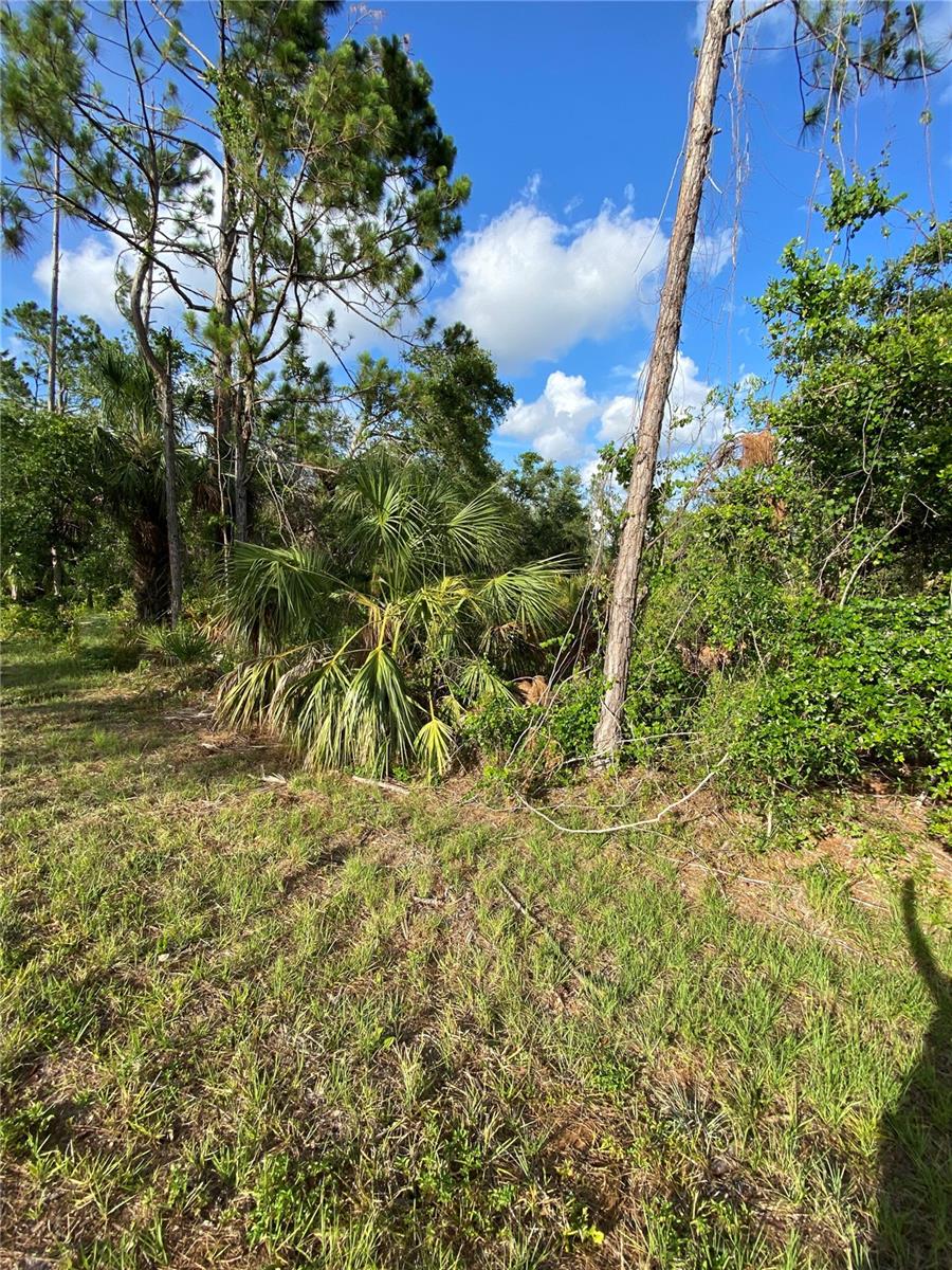 376 MUNOZ ST, PORT CHARLOTTE, FL, 33953