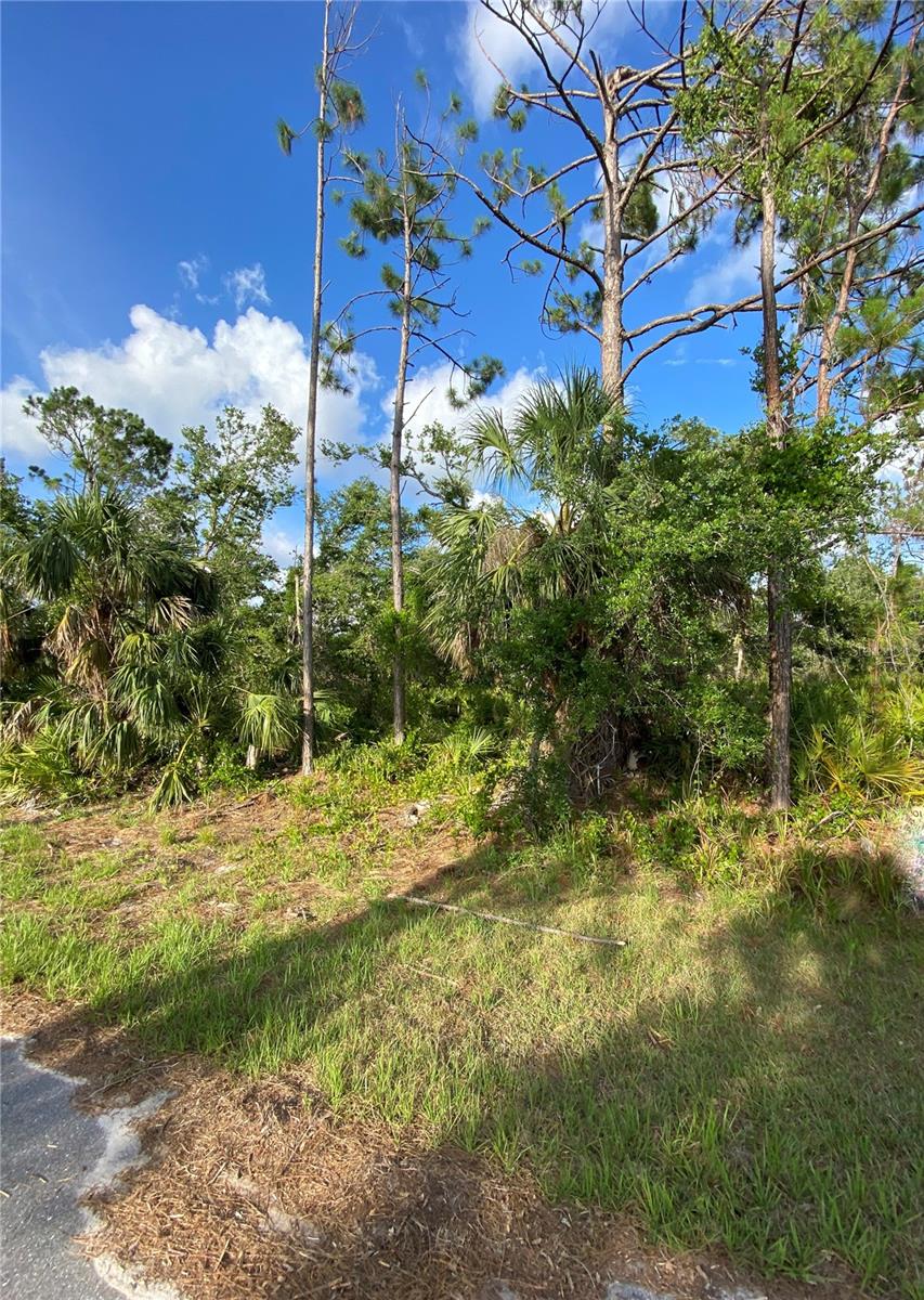 376 MUNOZ ST, PORT CHARLOTTE, FL, 33953