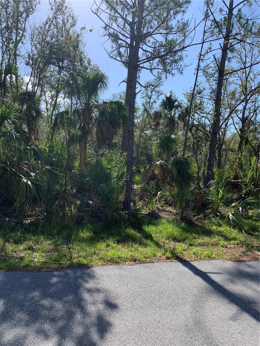 376 MUNOZ ST, PORT CHARLOTTE, FL, 33953