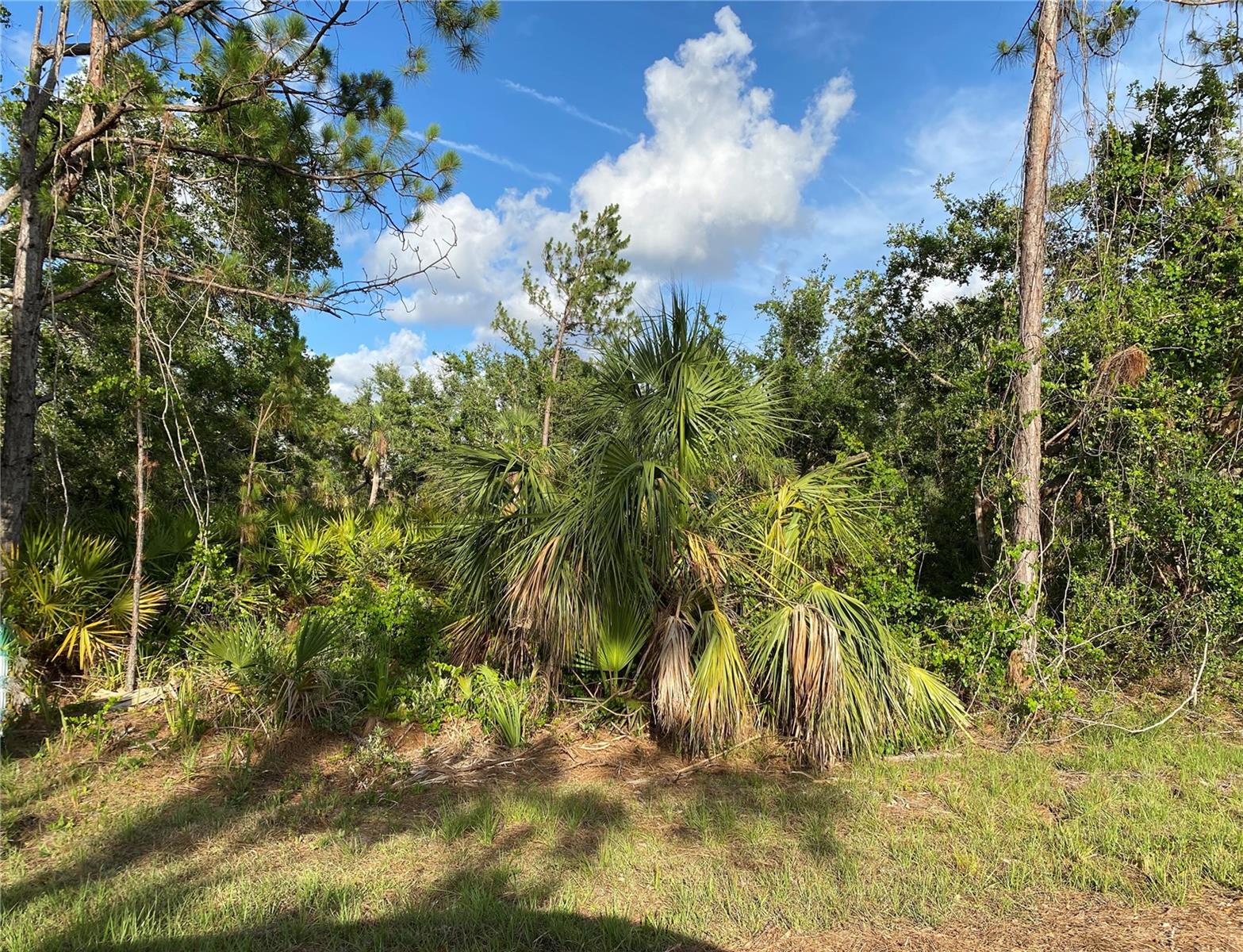 376 MUNOZ ST, PORT CHARLOTTE, FL, 33953