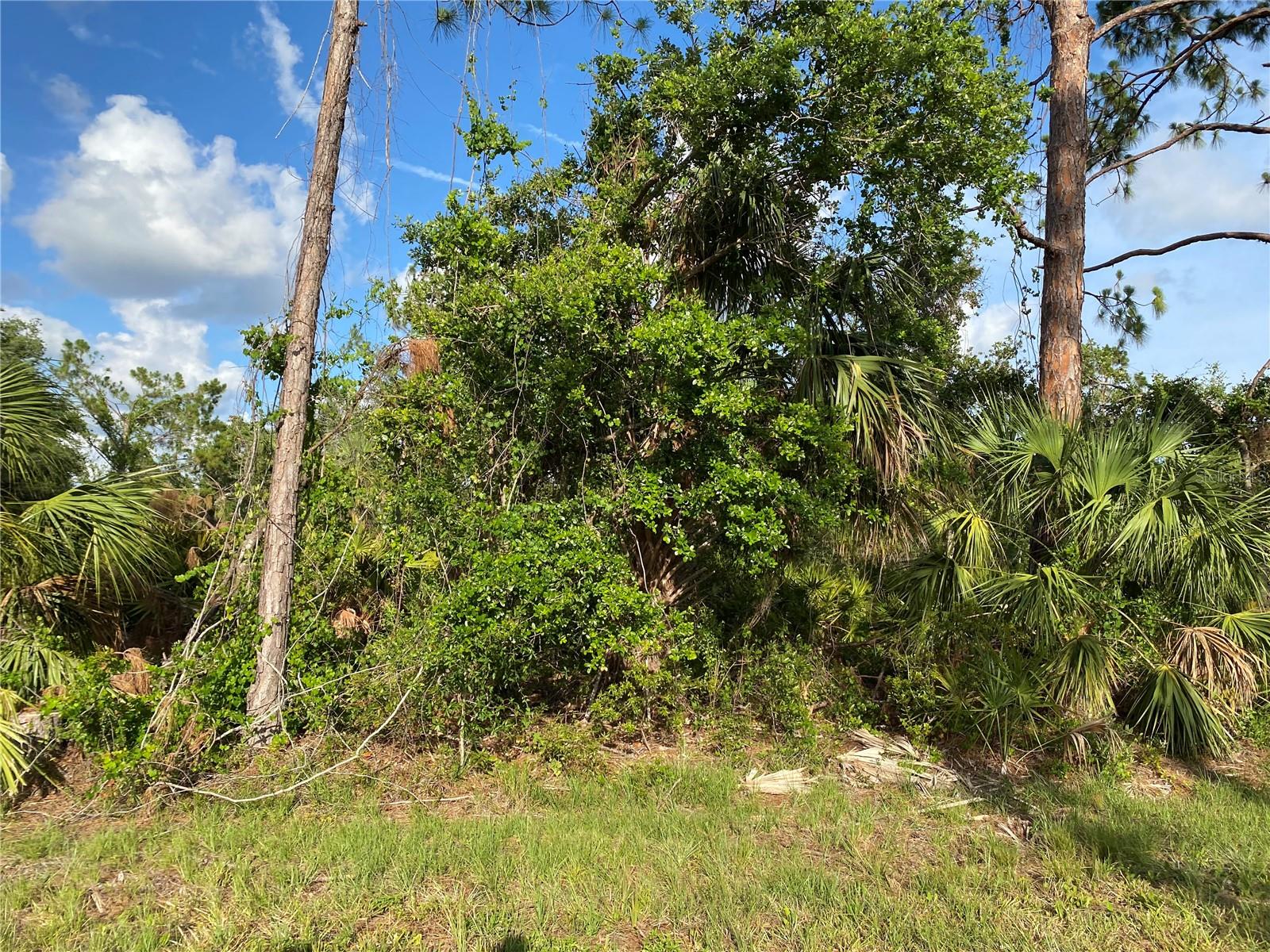 384 MUNOZ ST, PORT CHARLOTTE, FL, 33953
