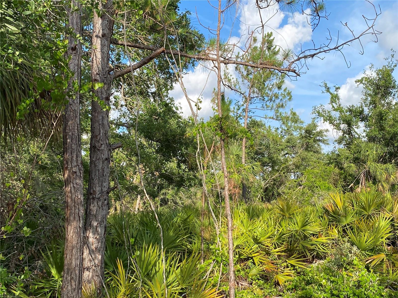 384 MUNOZ ST, PORT CHARLOTTE, FL, 33953