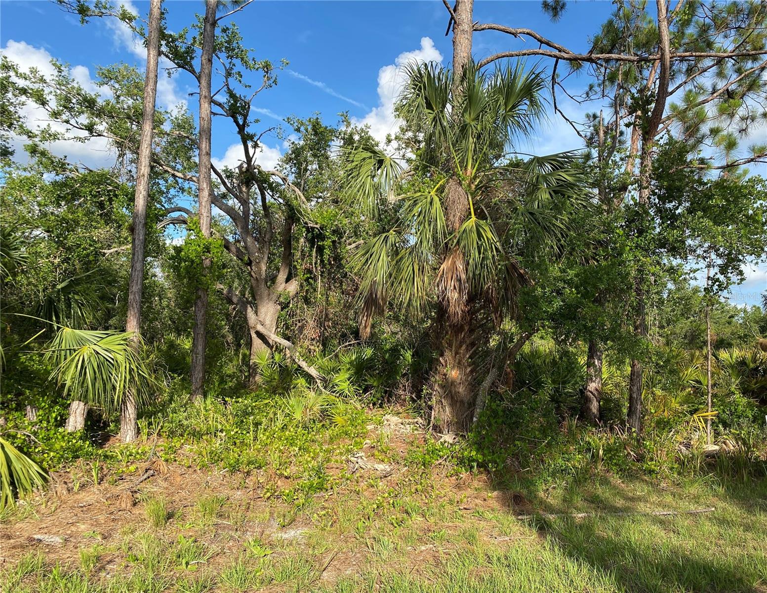 384 MUNOZ ST, PORT CHARLOTTE, FL, 33953