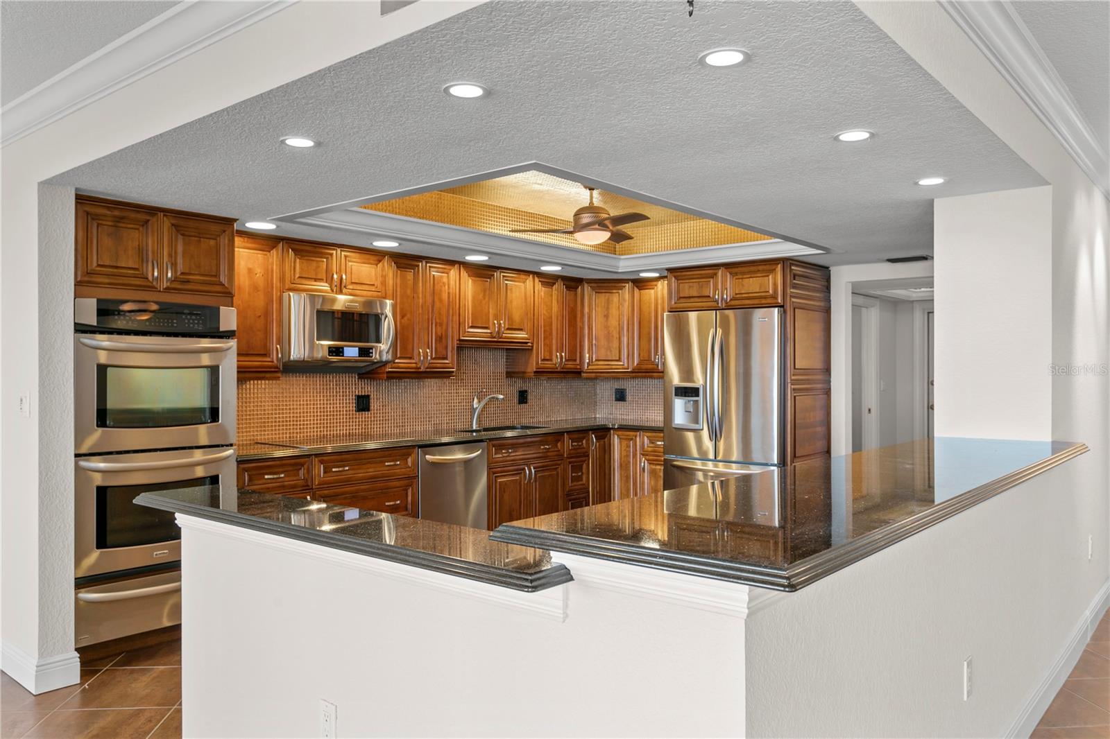 5200 BRITTANY DR S #4-1102, ST PETERSBURG, FL, 33715