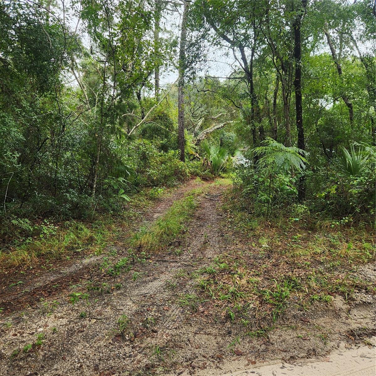 0 GARDEN ST, DELAND, FL, 32720