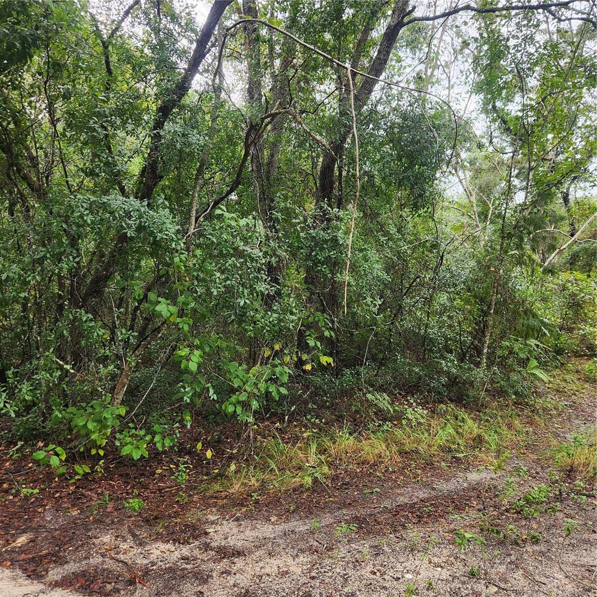 0 GARDEN ST, DELAND, FL, 32720