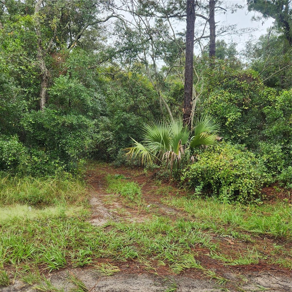 0 GARDEN ST, DELAND, FL, 32720