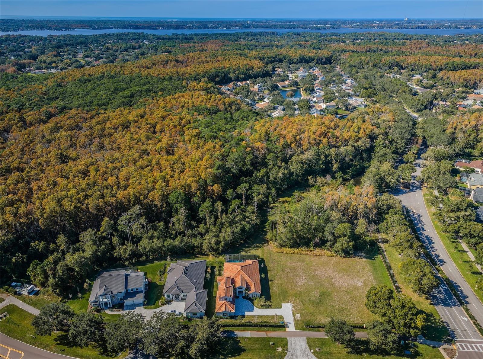 4390 TARPON LAKE BLVD, PALM HARBOR, FL, 34685