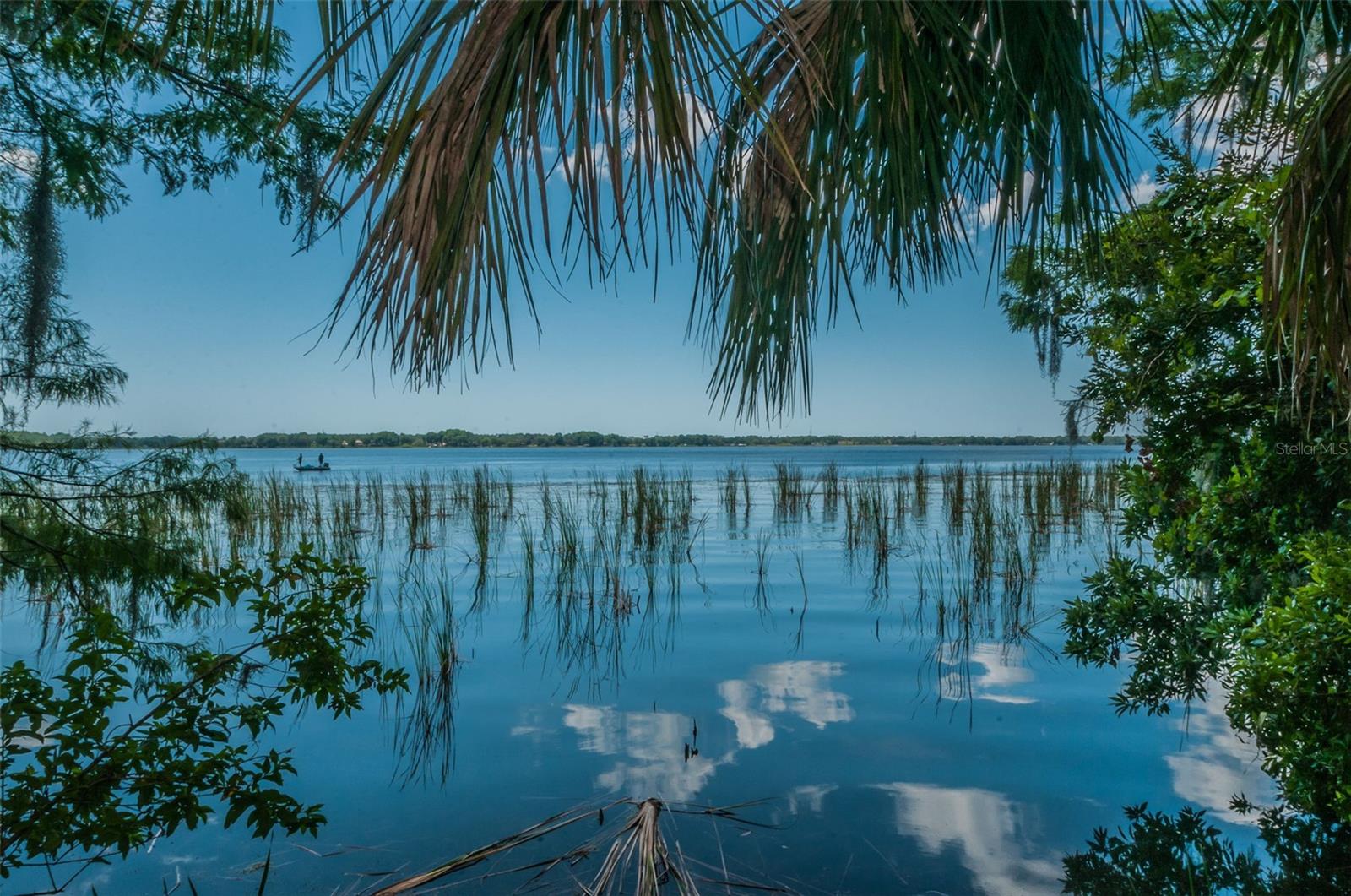 4390 TARPON LAKE BLVD, PALM HARBOR, FL, 34685