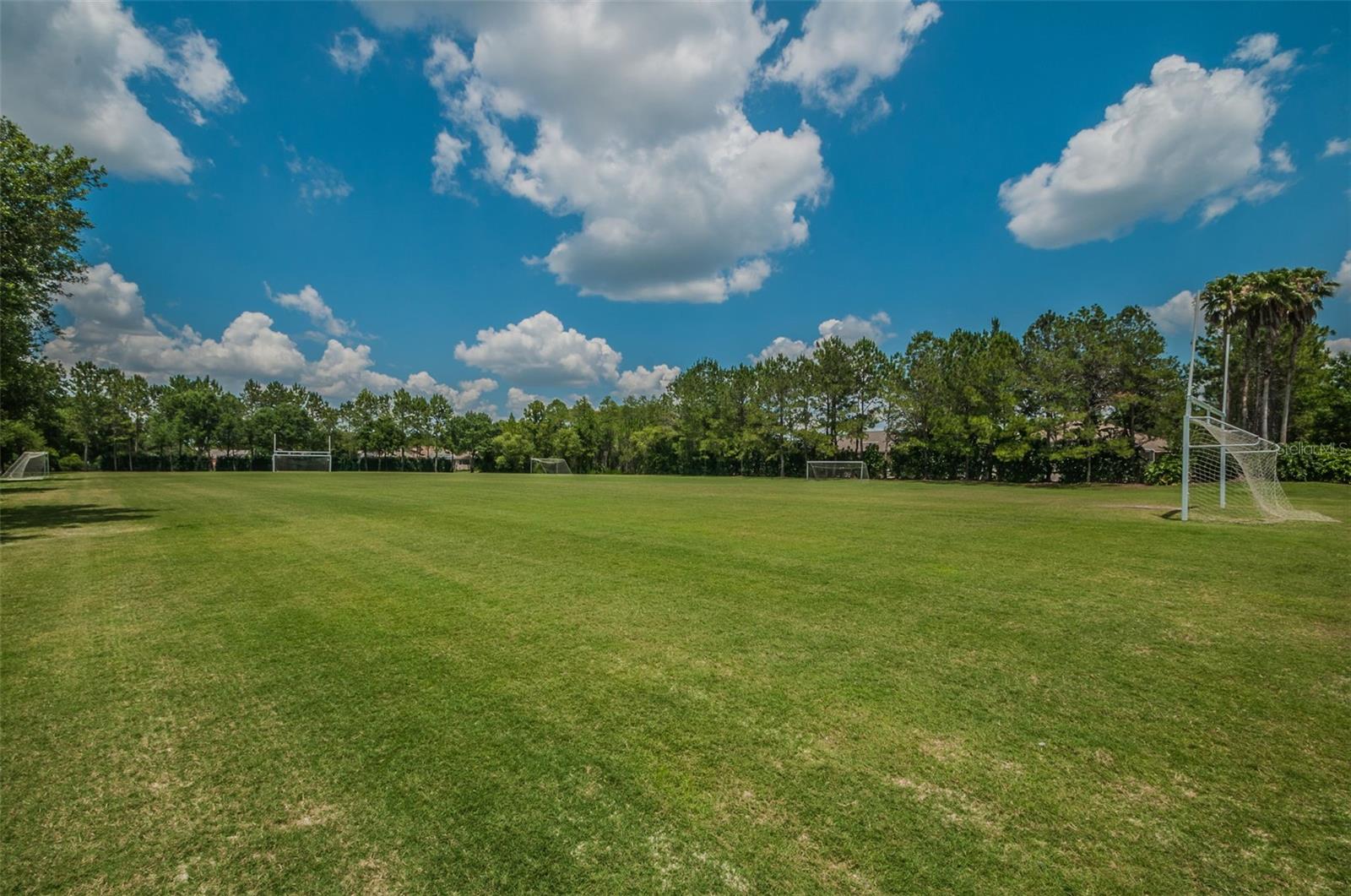 4390 TARPON LAKE BLVD, PALM HARBOR, FL, 34685