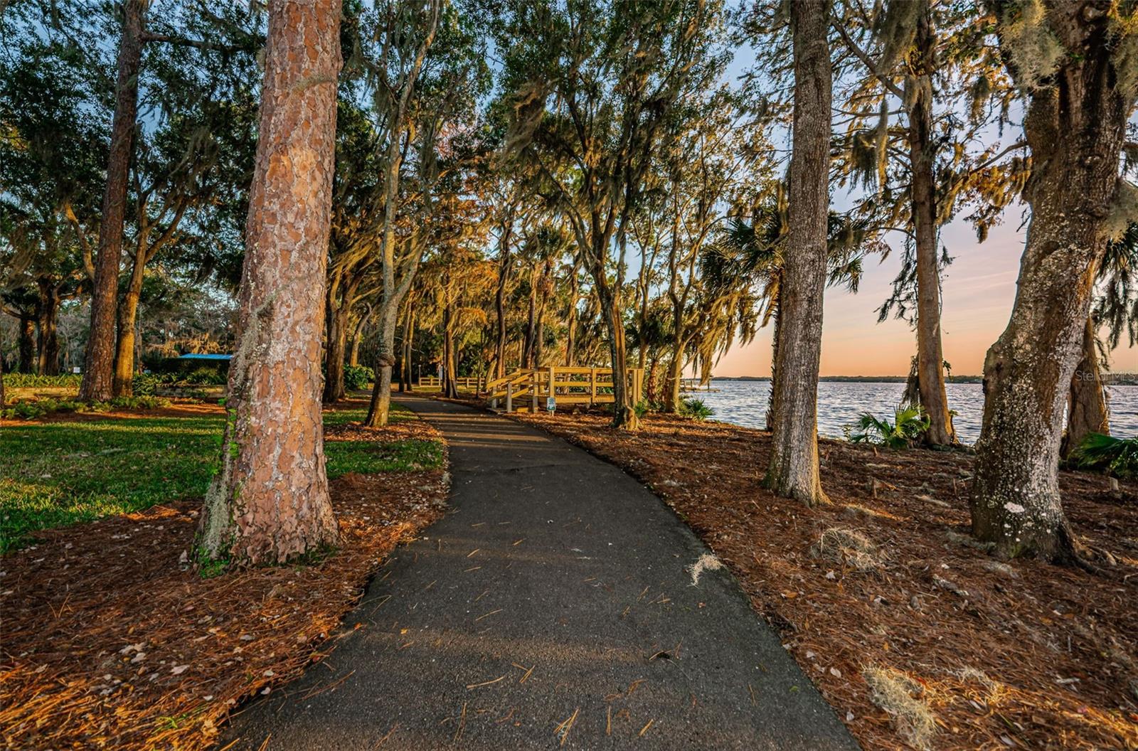 4390 TARPON LAKE BLVD, PALM HARBOR, FL, 34685