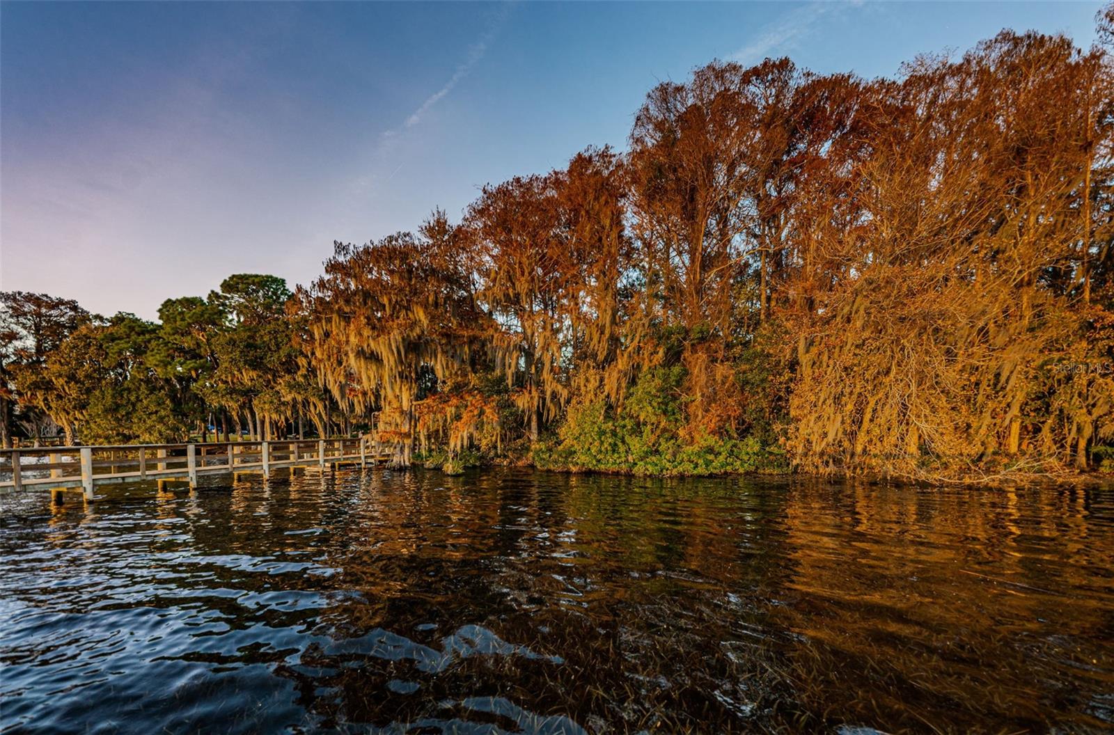 4390 TARPON LAKE BLVD, PALM HARBOR, FL, 34685
