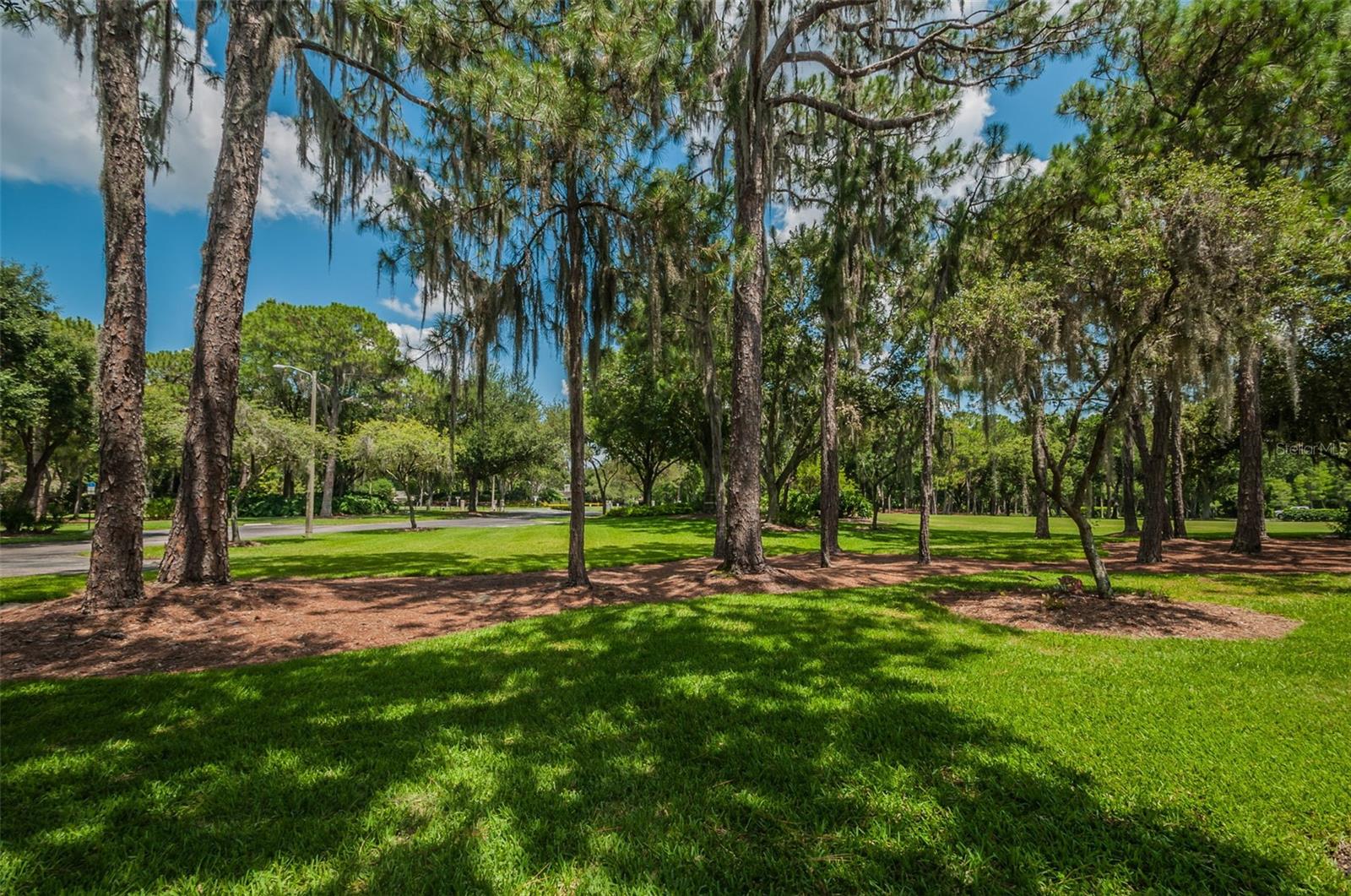 4390 TARPON LAKE BLVD, PALM HARBOR, FL, 34685