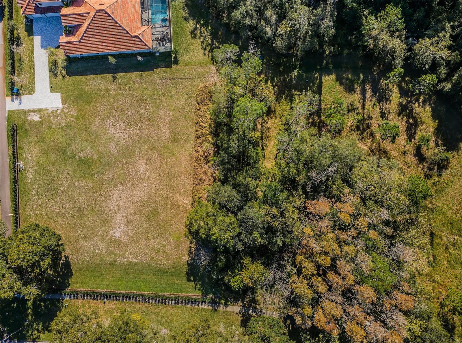 4390 TARPON LAKE BLVD, PALM HARBOR, FL, 34685
