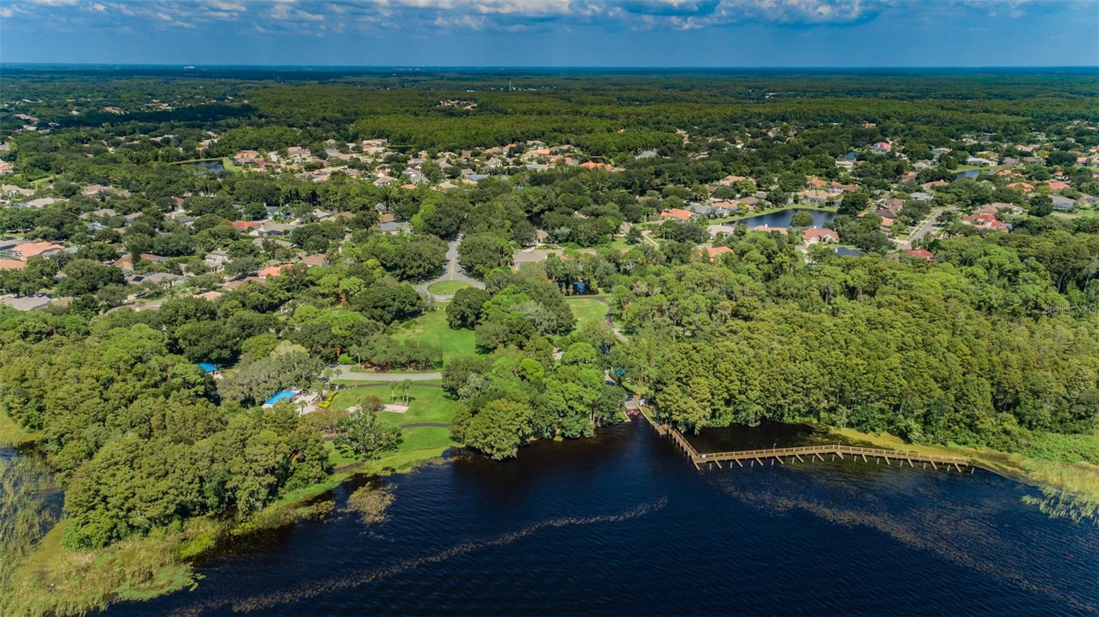 4390 TARPON LAKE BLVD, PALM HARBOR, FL, 34685