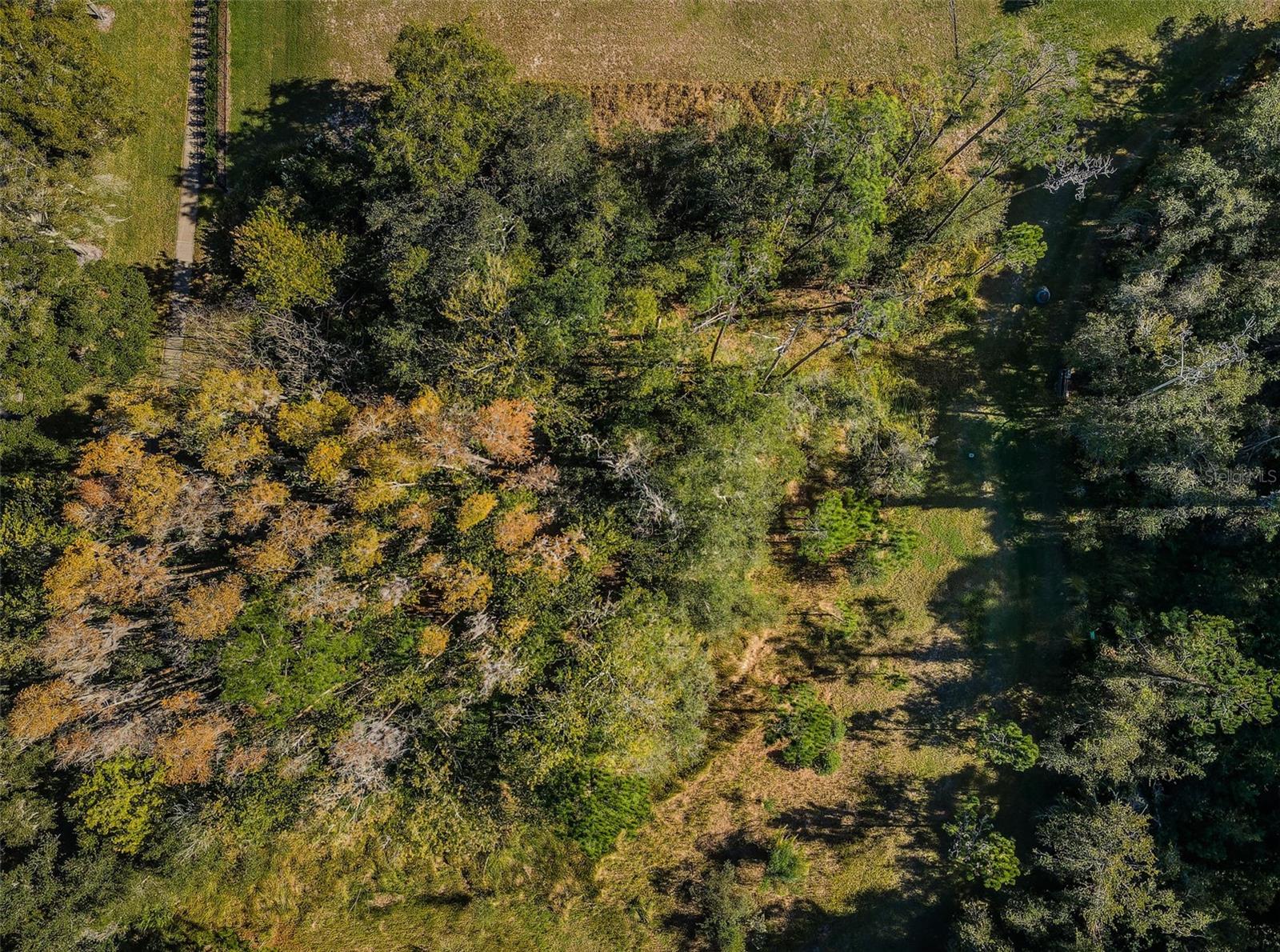4390 TARPON LAKE BLVD, PALM HARBOR, FL, 34685