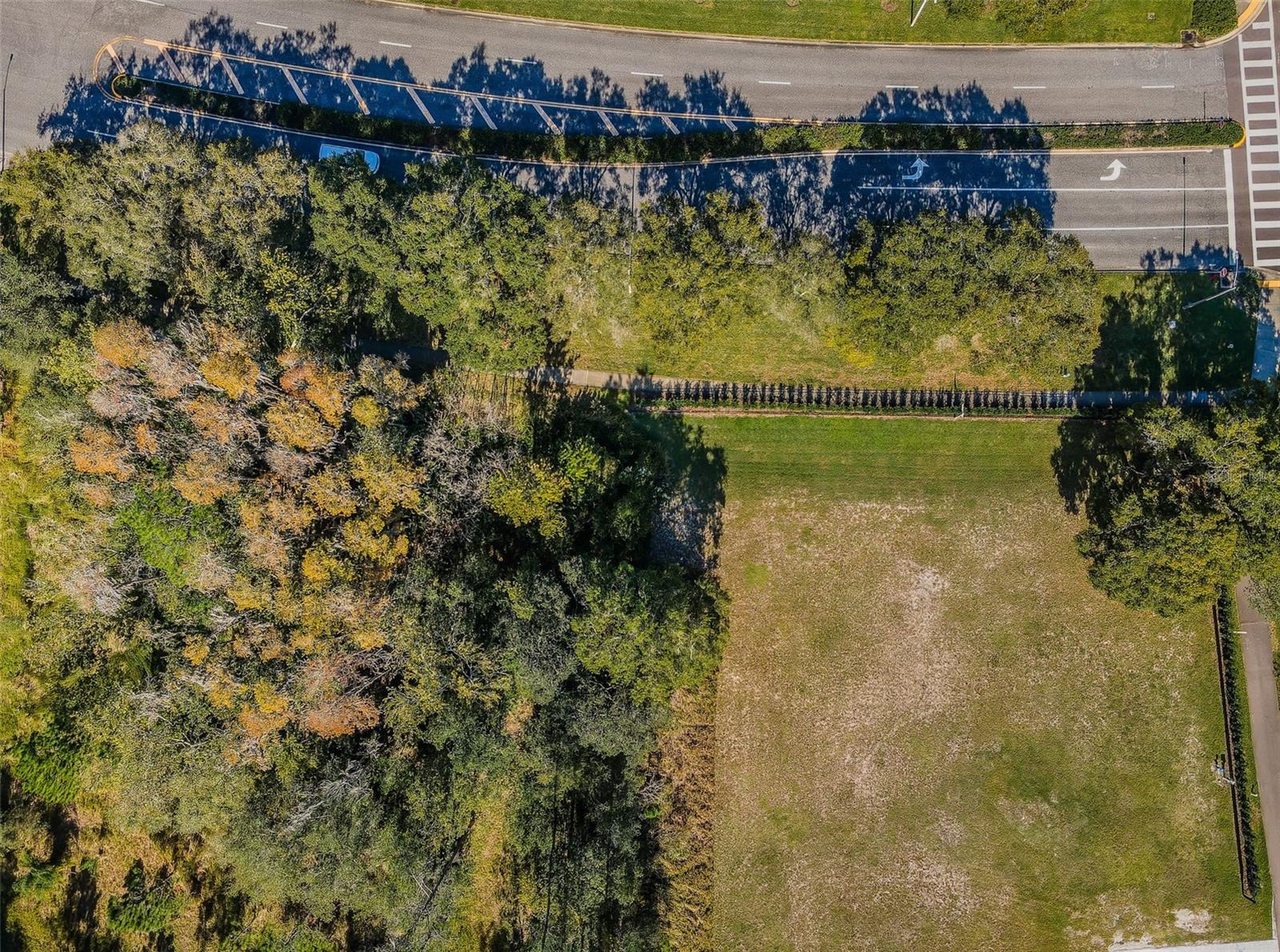 4390 TARPON LAKE BLVD, PALM HARBOR, FL, 34685