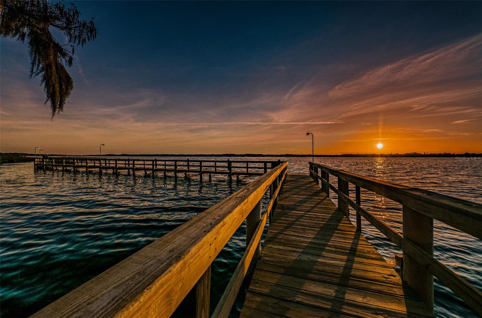 4390 TARPON LAKE BLVD, PALM HARBOR, FL, 34685