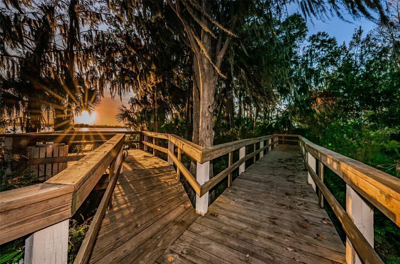 4390 TARPON LAKE BLVD, PALM HARBOR, FL, 34685