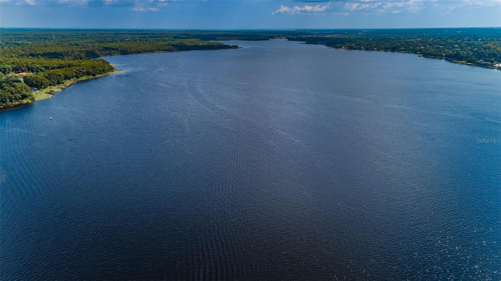 4390 TARPON LAKE BLVD, PALM HARBOR, FL, 34685