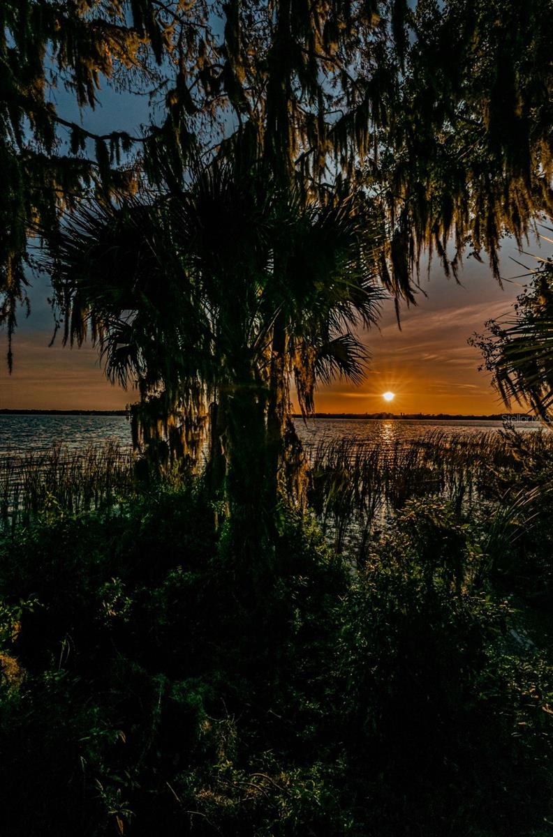 4390 TARPON LAKE BLVD, PALM HARBOR, FL, 34685