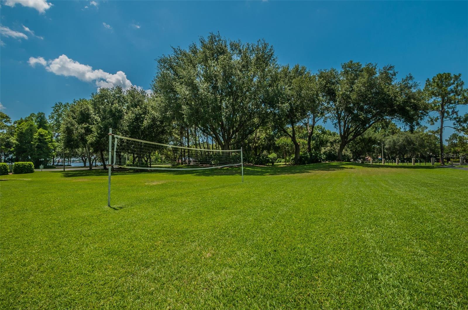 4390 TARPON LAKE BLVD, PALM HARBOR, FL, 34685