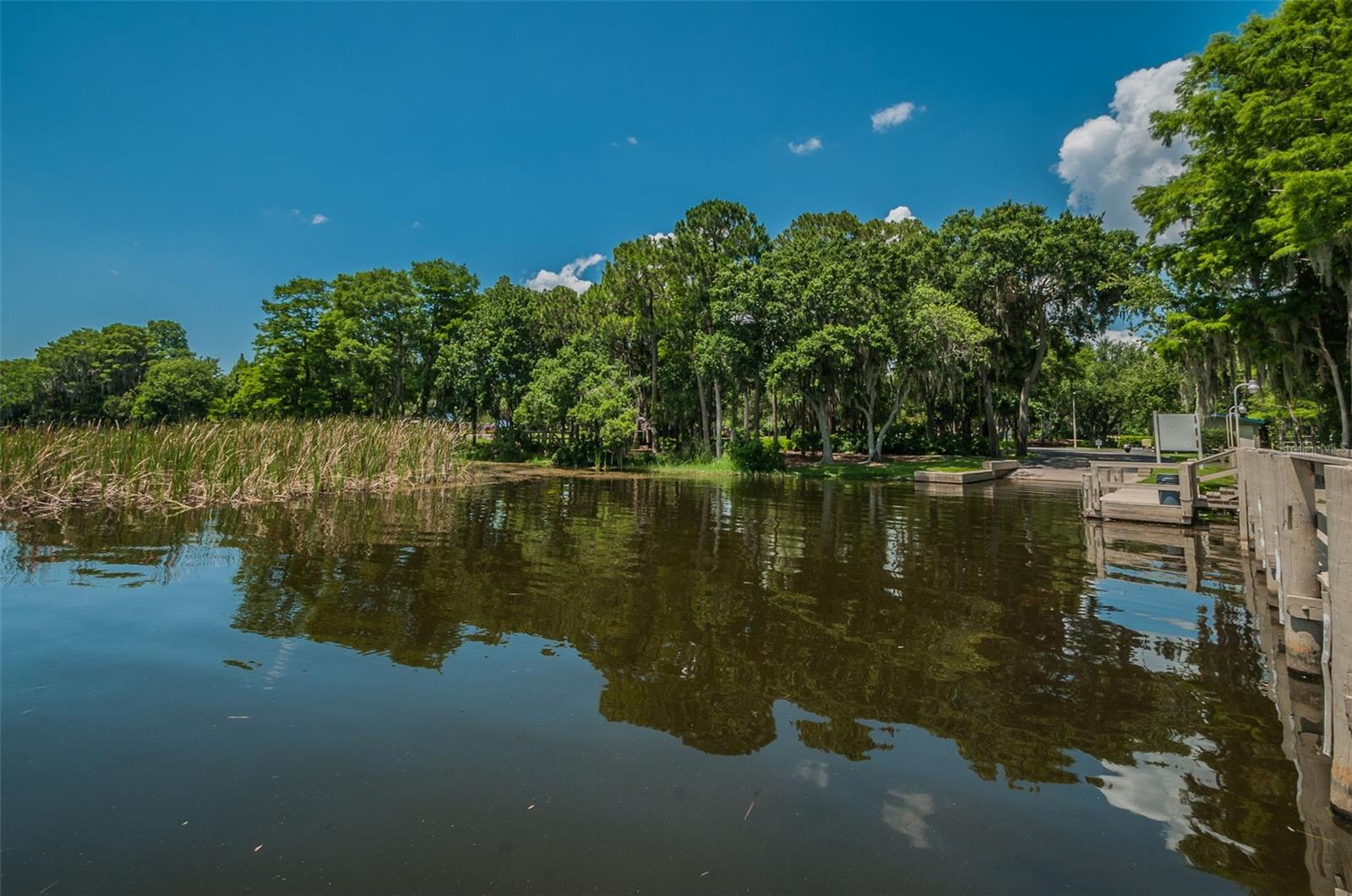 4390 TARPON LAKE BLVD, PALM HARBOR, FL, 34685