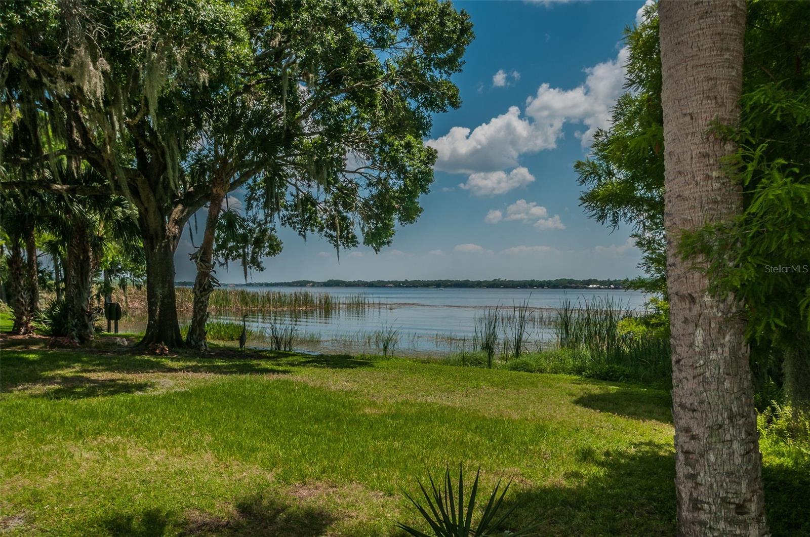 4390 TARPON LAKE BLVD, PALM HARBOR, FL, 34685