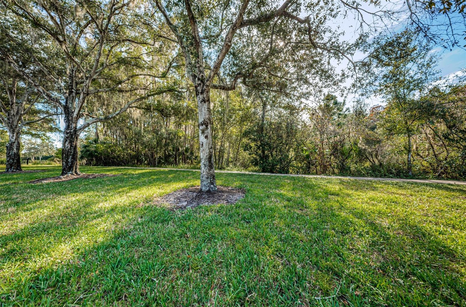 4390 TARPON LAKE BLVD, PALM HARBOR, FL, 34685