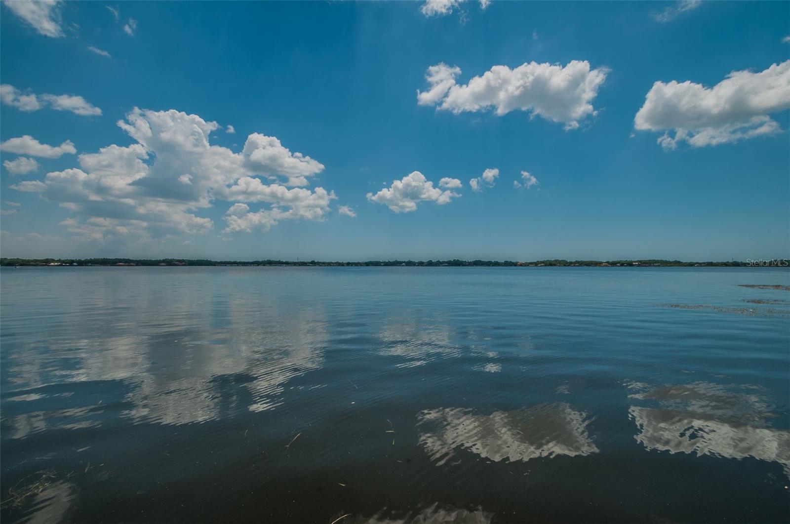 4390 TARPON LAKE BLVD, PALM HARBOR, FL, 34685