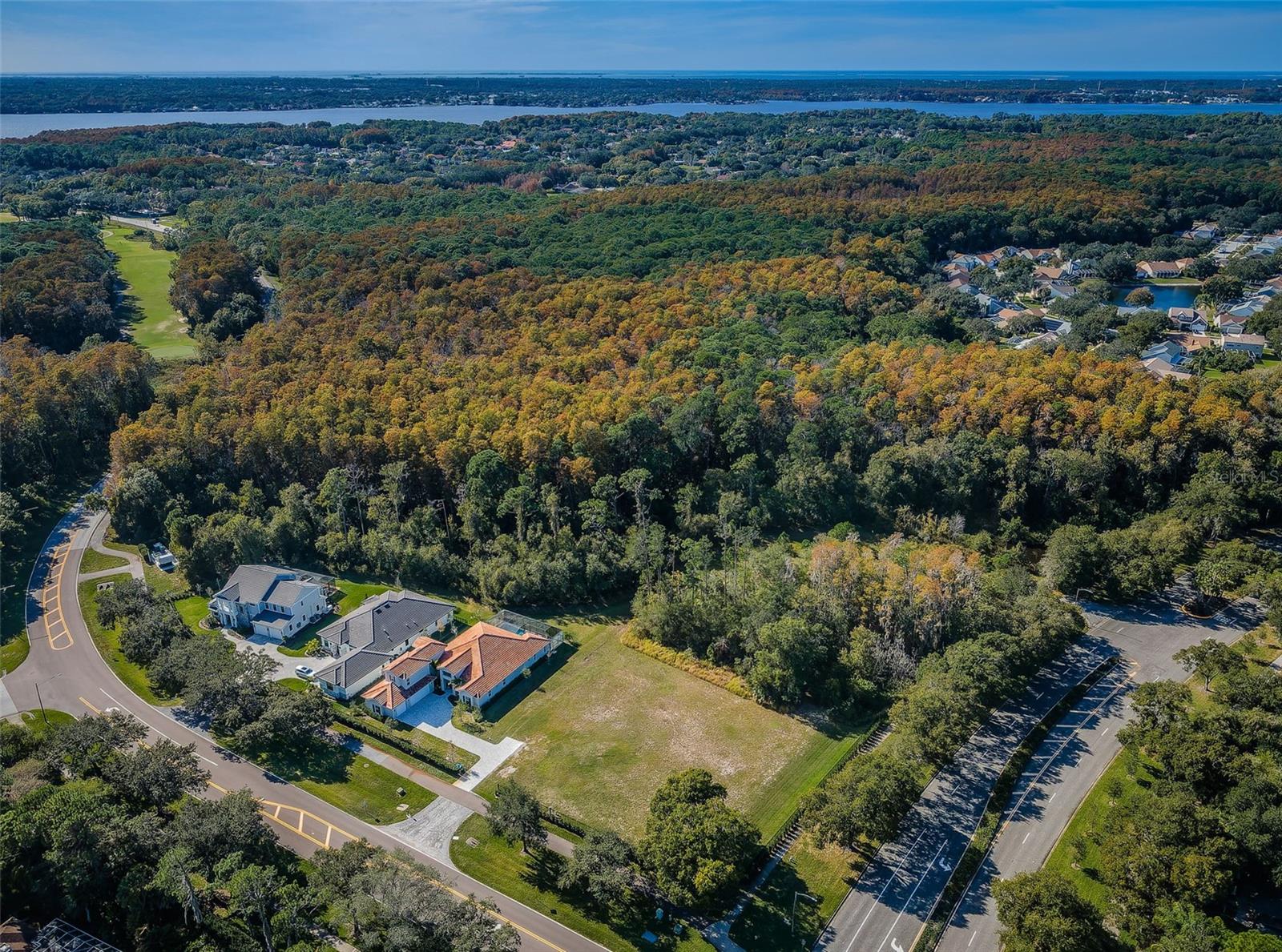 4390 TARPON LAKE BLVD, PALM HARBOR, FL, 34685