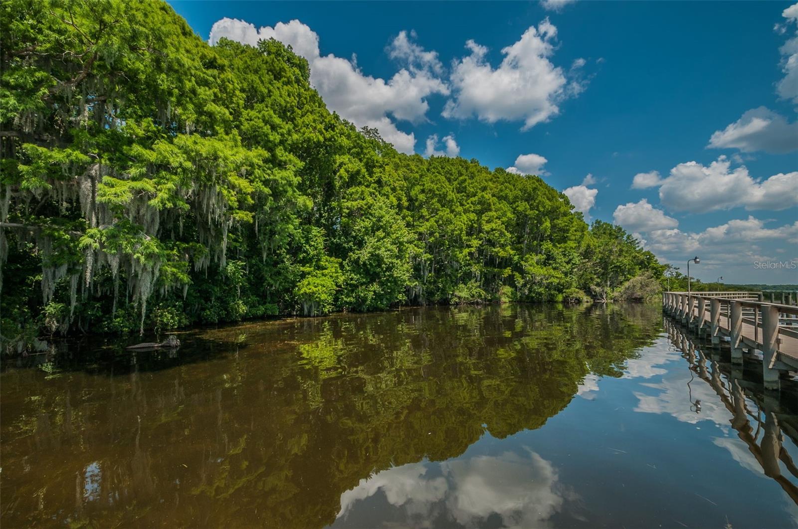 4390 TARPON LAKE BLVD, PALM HARBOR, FL, 34685