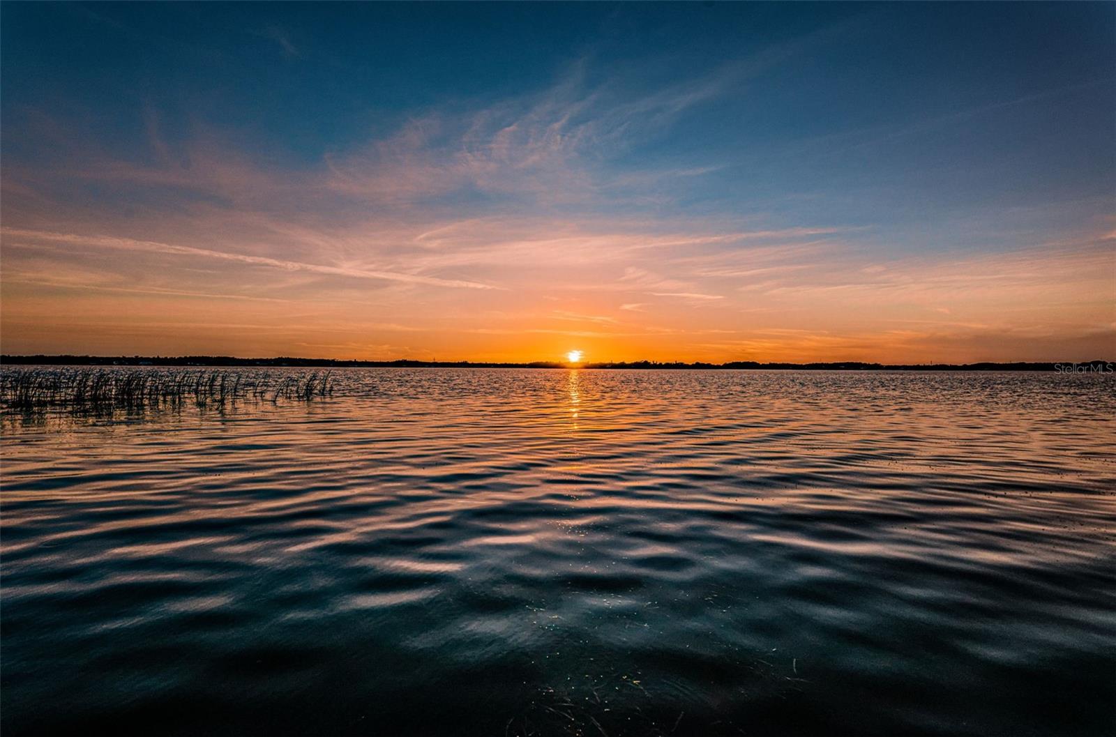 4390 TARPON LAKE BLVD, PALM HARBOR, FL, 34685