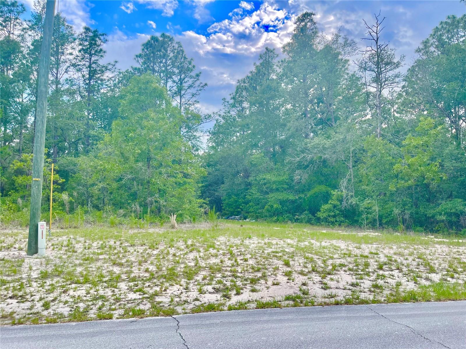 TBD SW 89TH CIR #Lot 19, OCALA, FL, 34473