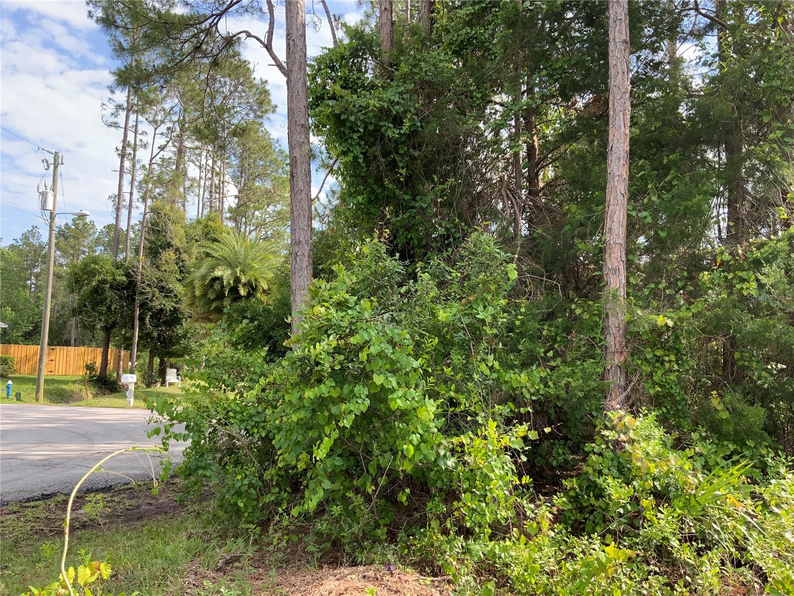 10 RIPTON PL, PALM COAST, FL, 32164