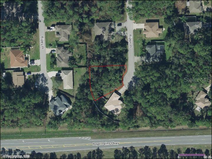 10 RIPTON PL, PALM COAST, FL, 32164