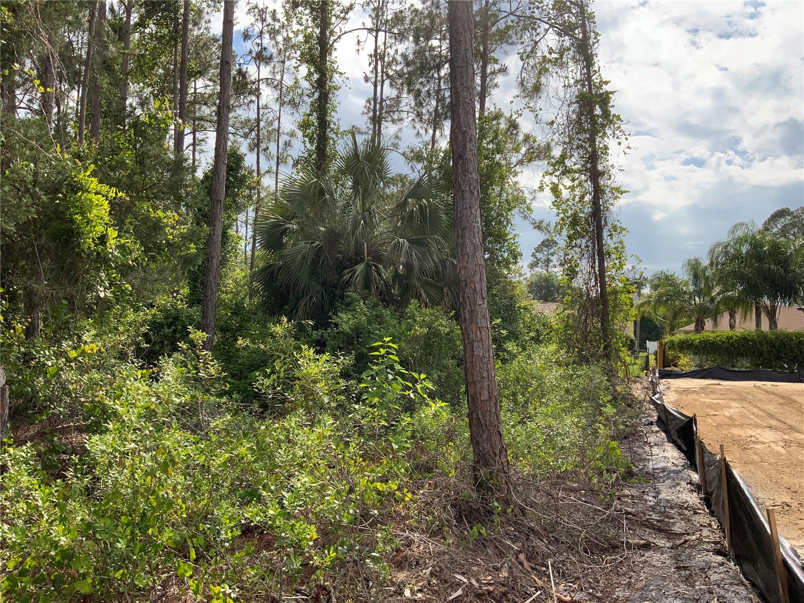 10 RIPTON PL, PALM COAST, FL, 32164