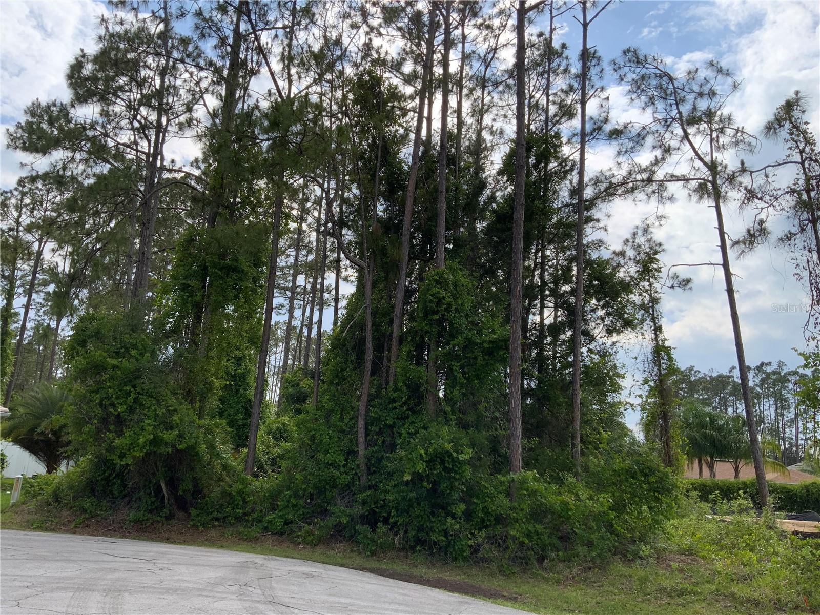 10 RIPTON PL, PALM COAST, FL, 32164