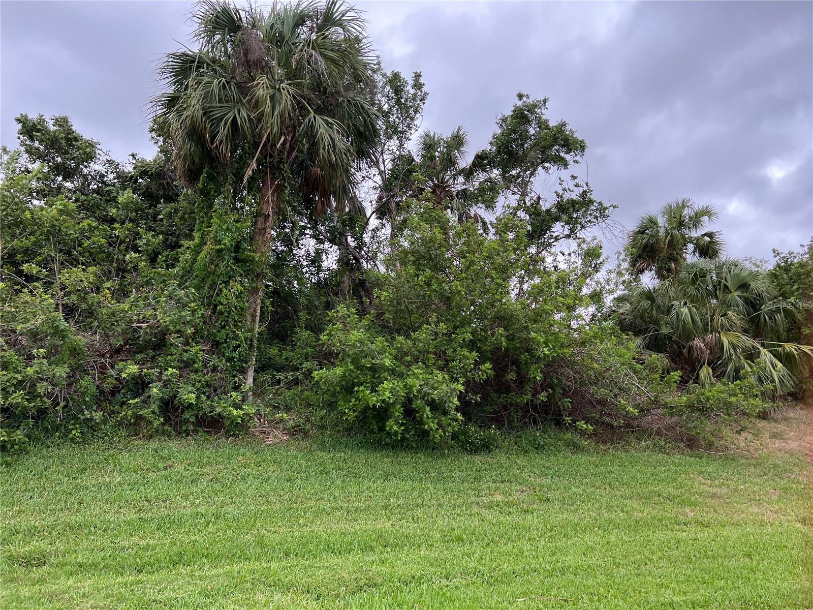 WOODBRIDGE DR, VENICE, FL, 34293