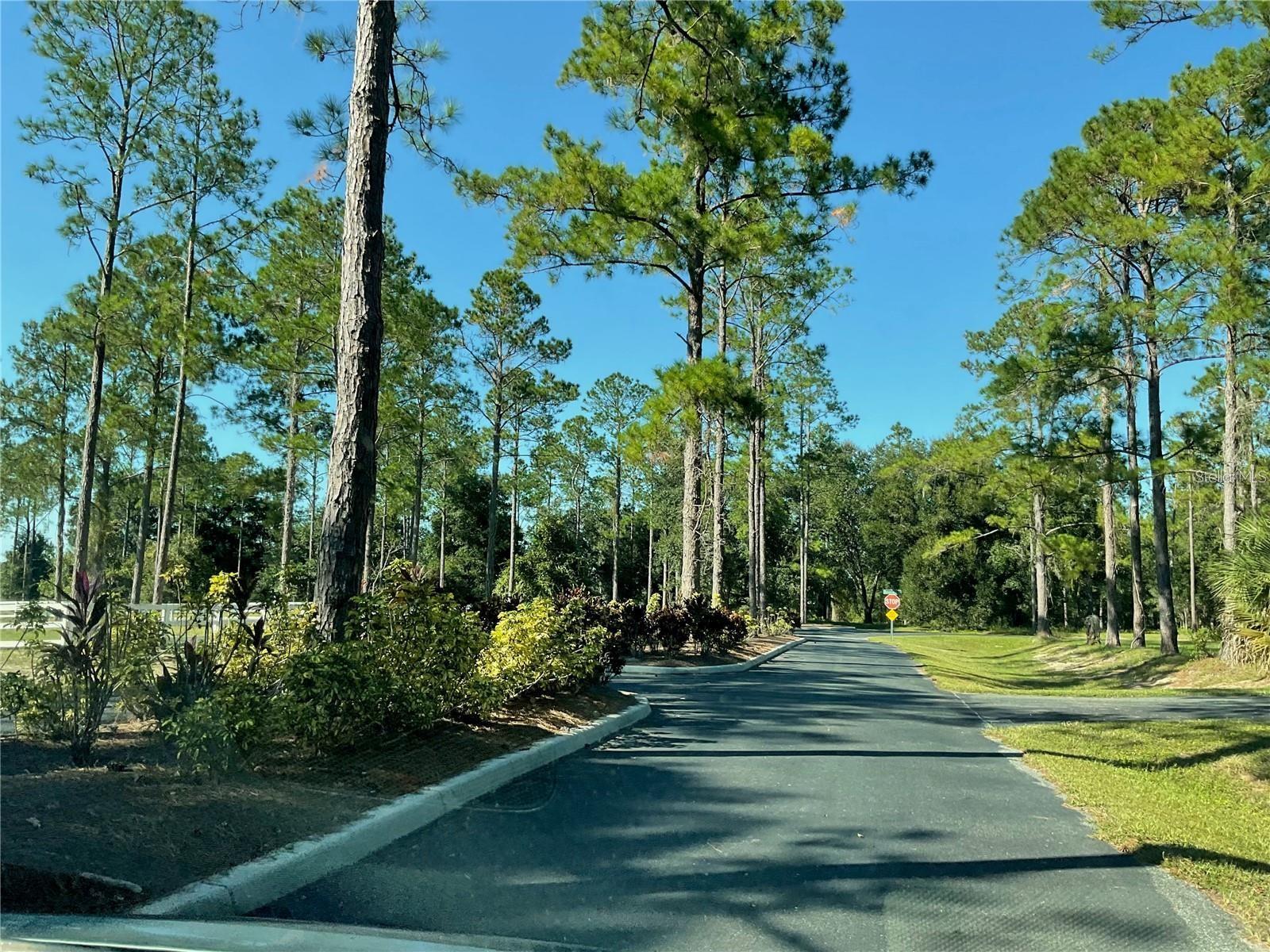 Lot 7 BONSMARA DR, LEESBURG, FL, 34748