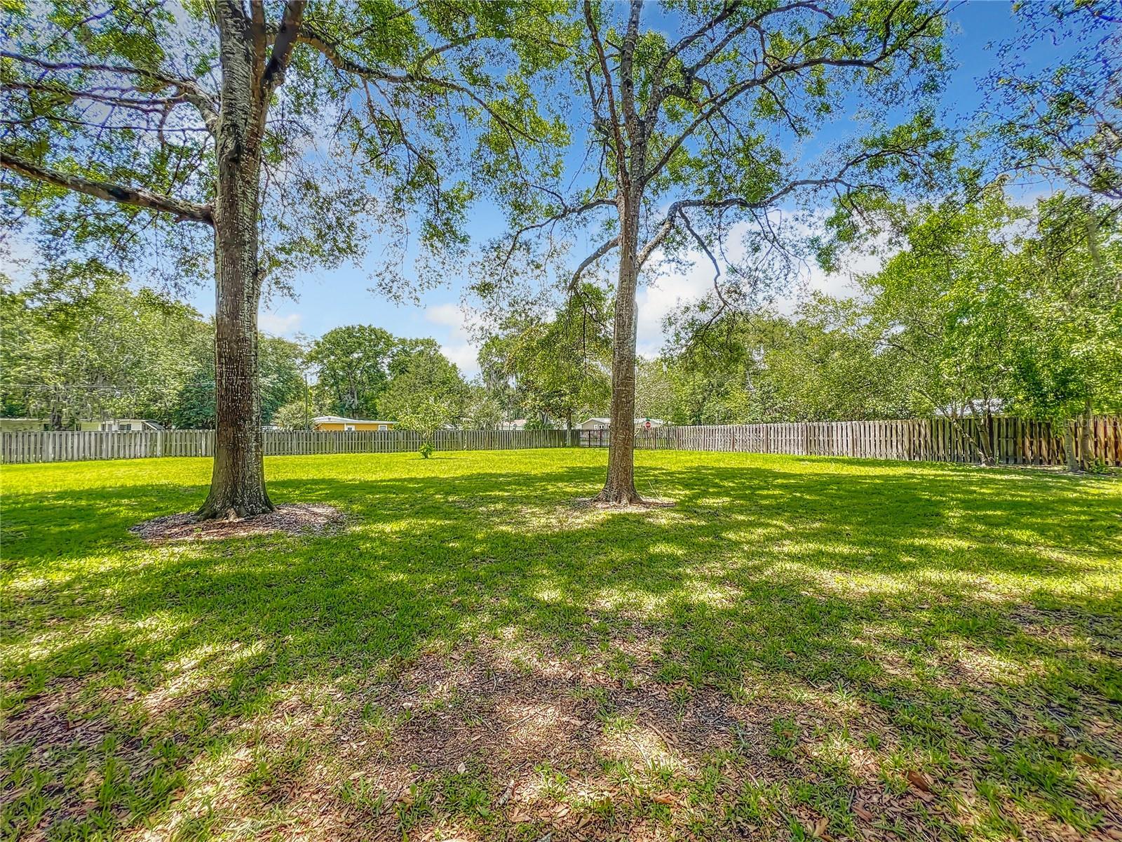 210 SE 4TH ST, WILLISTON, FL, 32696