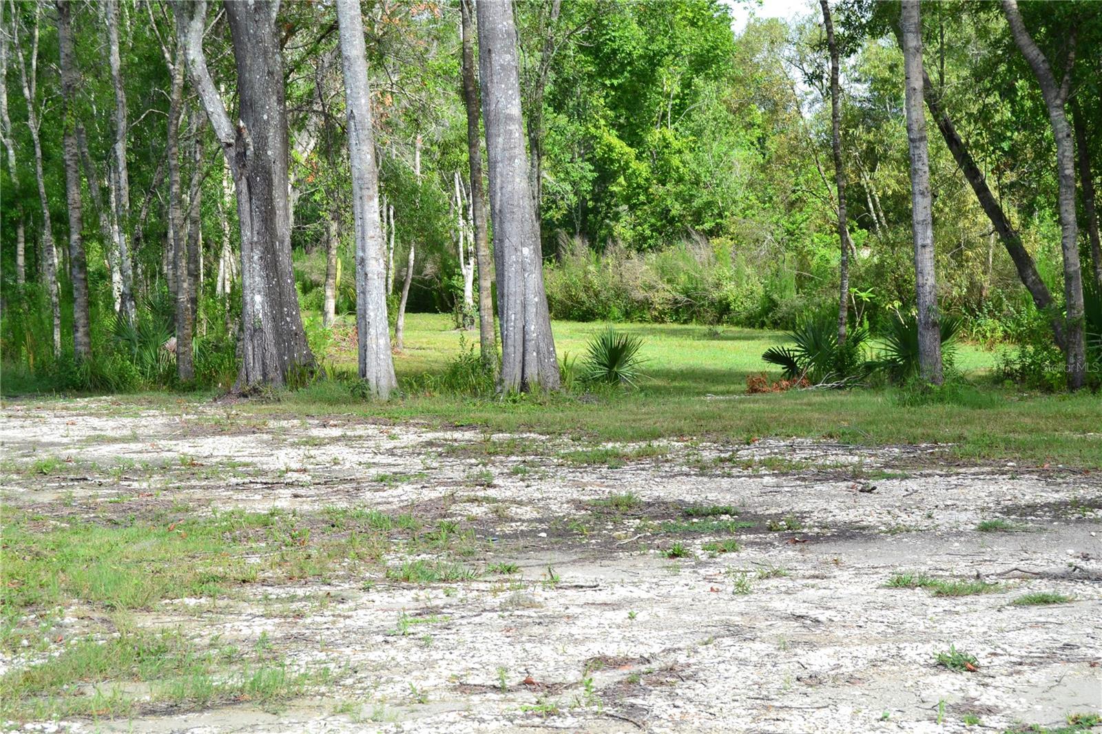 U S HWY 542, LAKELAND, FL, 33801