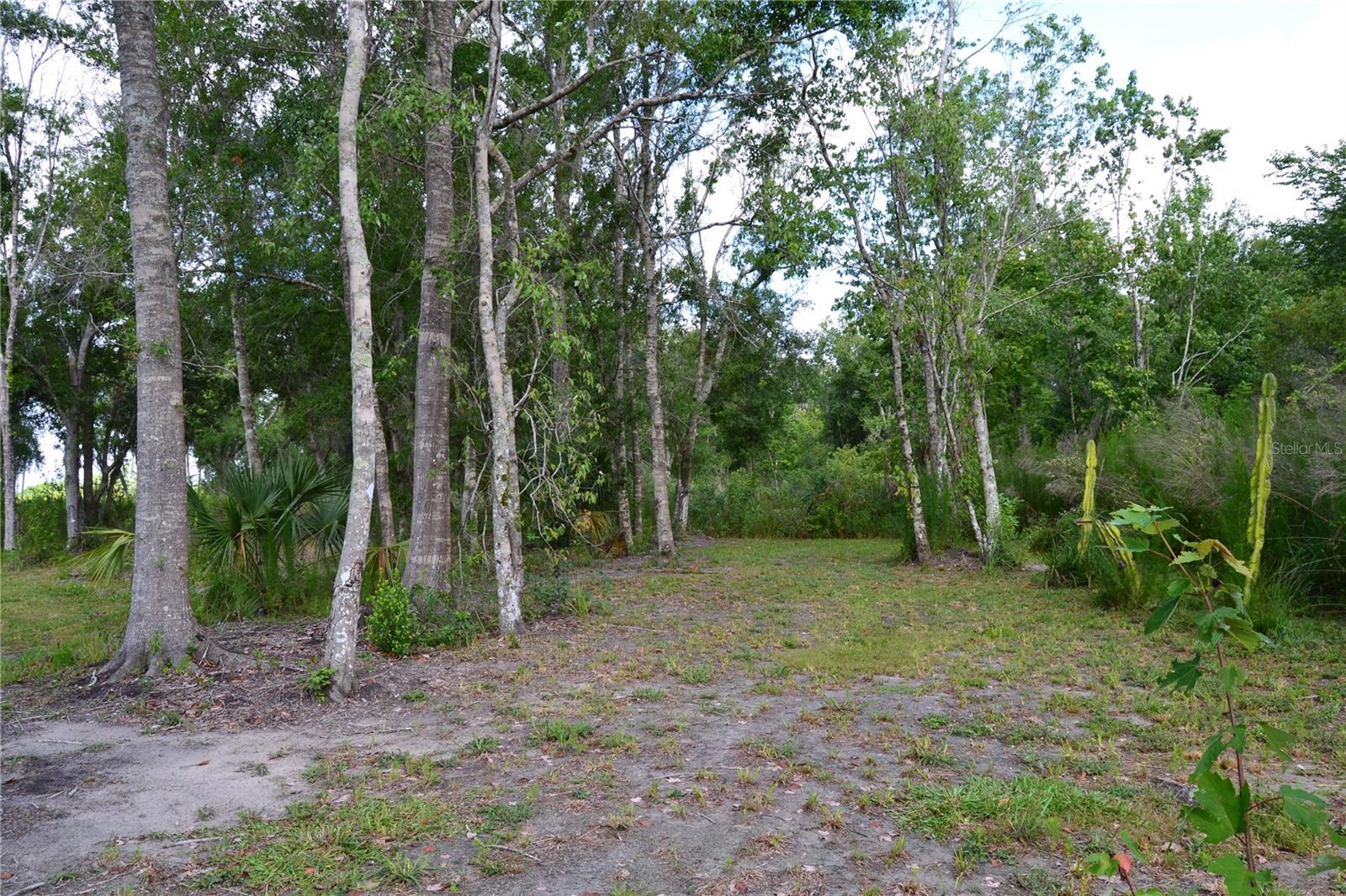 U S HWY 542, LAKELAND, FL, 33801