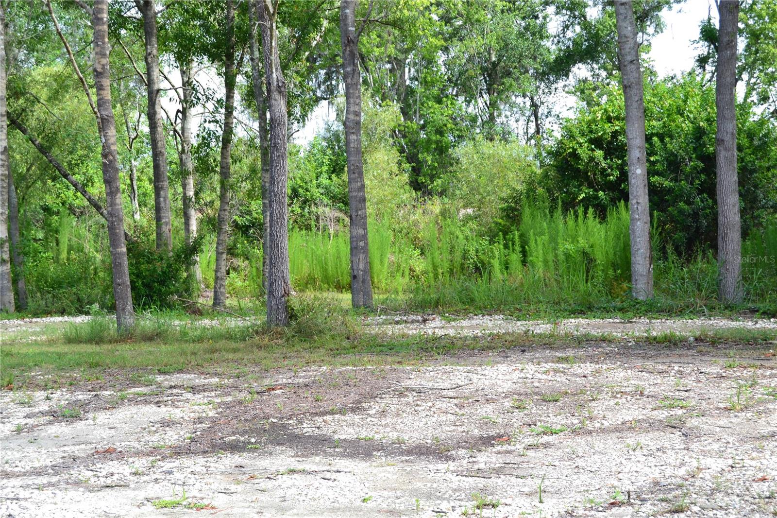 U S HWY 542, LAKELAND, FL, 33801