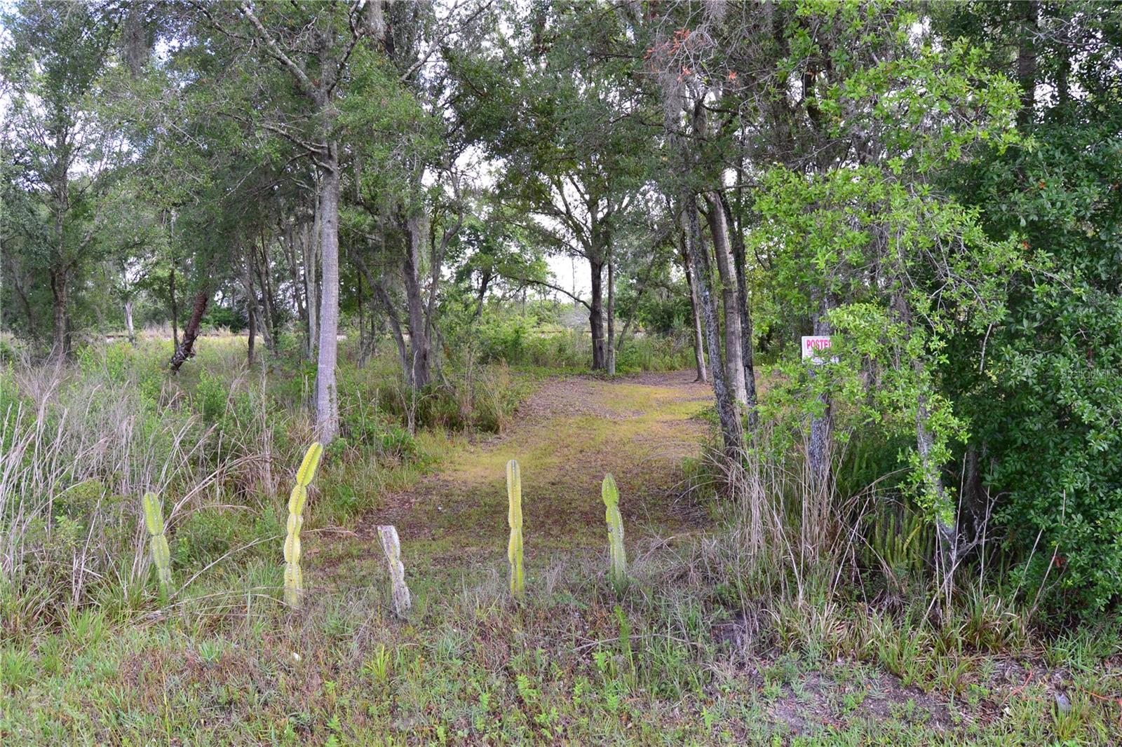 U S HWY 542, LAKELAND, FL, 33801