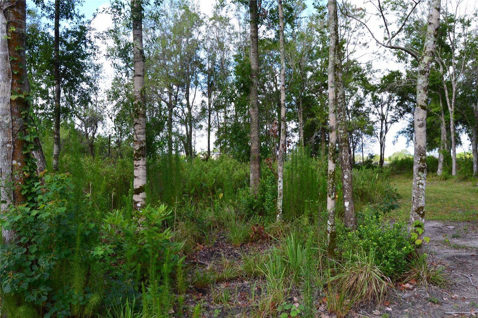U S HWY 542, LAKELAND, FL, 33801
